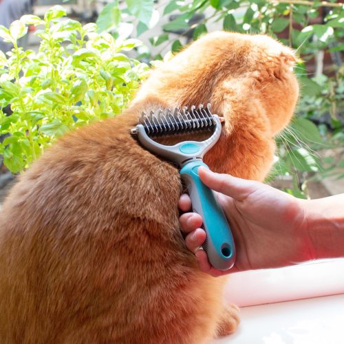 Navaris kefe kutyáknak és macskáknak, zöld, műanyag, 44332