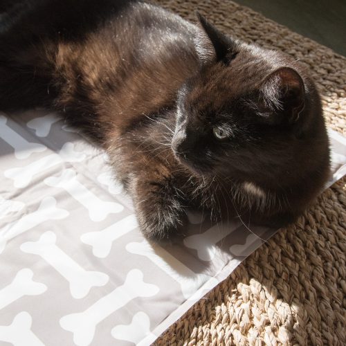 Navaris hűtőgél szőnyeg házi kedvenceknek, 50 x 90 cm, 51240,2