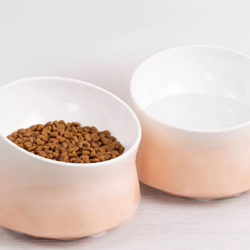 2 db magas Navaris kerámia tál macskák és kutyák számára szőnyeggel, 250 ml, 53300.60