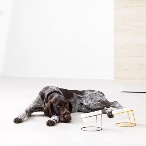 2 db Navaris kerámia tál készlet fém tartóval, 380 ml, arany / fekete, 55984.01