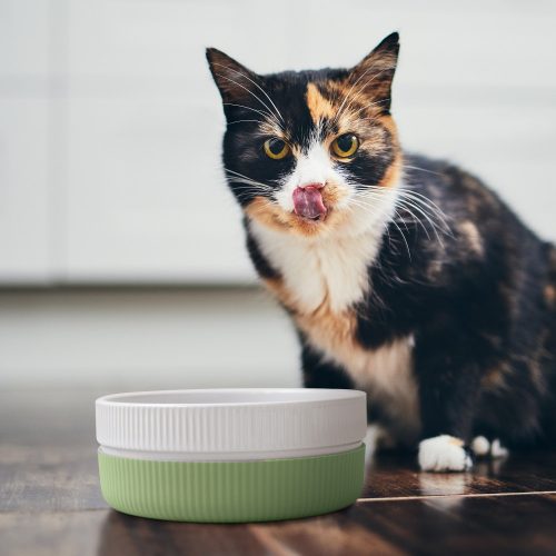 2 db-os tálka macskáknak és kutyáknak Navaris, csúszásgátló, zöld, 53411.07