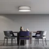 Plafoniera LED tavan Navaris, 22W, diametru 32 cm, telecomanda, gri/gri deschis, plastic/metal