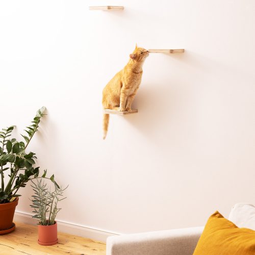 Navaris macska mászóbútor, Krém, Fa, 59243.01