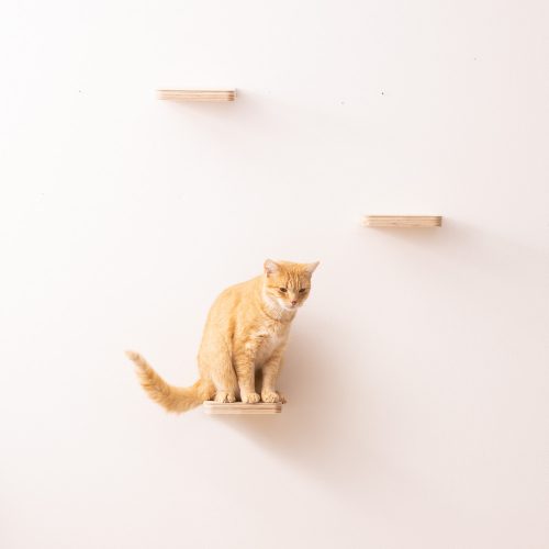 Navaris macska mászóbútor, Krém, Fa, 59243.01