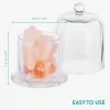 Difuzor Navaris cu cristale de sare roz, aromaterapie, 11.3x8.4x8.4 cm, roz/transparent, sticla