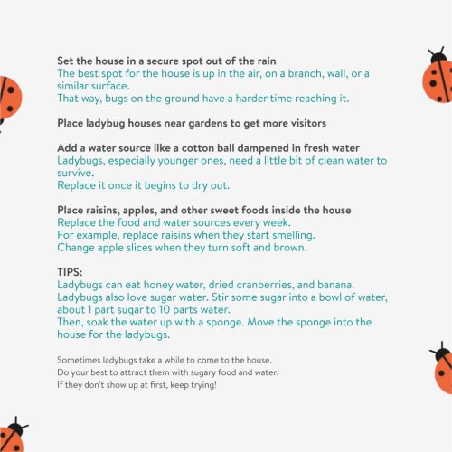 Casa pentru buburuze Navaris cu tuburi pentru albine, 14.5x9x24.5 cm, NAV000025VE001C