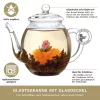 Creano üveg teáskanna fedővel, 500 ml, hőálló, cseppmentes kiöntés
