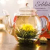 Creano ErbluhTee Mix virágzó tea ajándékszett, 6 darab, fehér/fekete tea