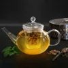 Ceainic din sticla Creano, 0,8 L, cu infuzor din sticla si capac, pentru ceai vrac